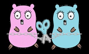 Interfaces in Go: reine Typ-Sache