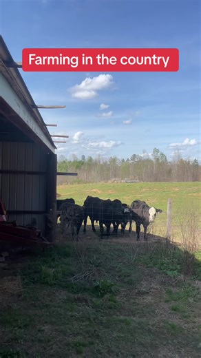 Solar Power Solutions for Farming Needs