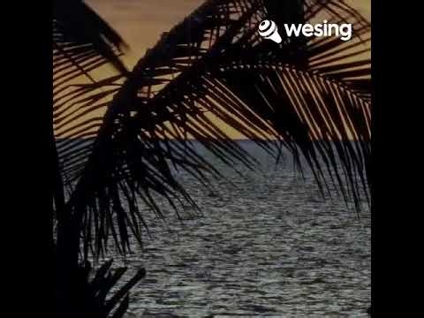 Gugir Bunga // cover apih dani