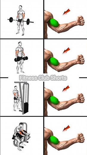 Insane Bicep Pump Workout💪🔥|#bicepworkout #armday #biceppump #fitlifestyle #gymmotivation