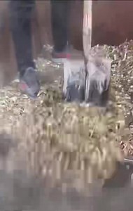 Pellet machine Automatic Plant with Cattle feed mixer ☎️+91 90390 63289 | Punjab Engineering Corporation | Facebook