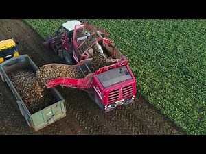 Grimme Rexor sugar beet harvester working in Norfolk by Farming Photography
