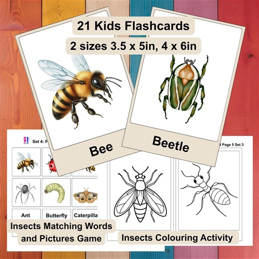 Set of Printable Insects Flashcards, Colouring Activity, Words and Picture Matching Game Study Learn Animals - Etsy UK
