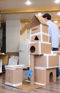 27K views · 59 reactions | Build your cat a cardboard castle they’ll never want to leave! | 5-Minute MAGIC | Facebook