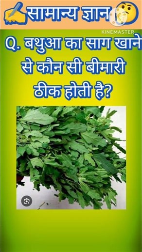 Top 50 ✍️ Question 🔥💯🥰|| Gk Questions and Answer|part-304| #gkfacts #staticgk #bkgkstudy #gkinhindi