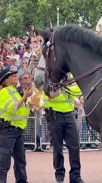 Mounted Police at Buckingham Palace #london