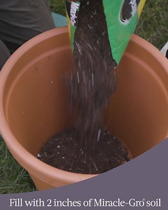 43K views · 2.9K reactions | Want to create an everlasting flower pot? Here's how to keep it flourishing now through spring. | Hunker | Facebook