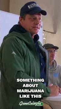 Marijuana Sickness: California Weed Causes Puking? #shorts