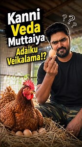 Should You Incubate Kanni Veda Eggs? #bitsoflife #gokulamfarms #chicken #farming #trending #viral