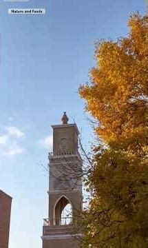 Gaziantep Üniversitesi #gaziantep #university #shorts #short #viral #life #turkey #travel #education