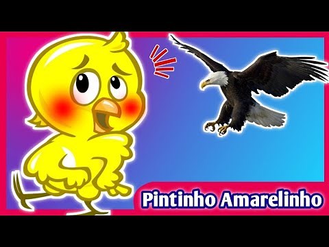 PINTINHO AMARELINHO - DVD GALINHA PINTADINHA | Mariana Conta 1 | Desenho Animado | Historia infantil