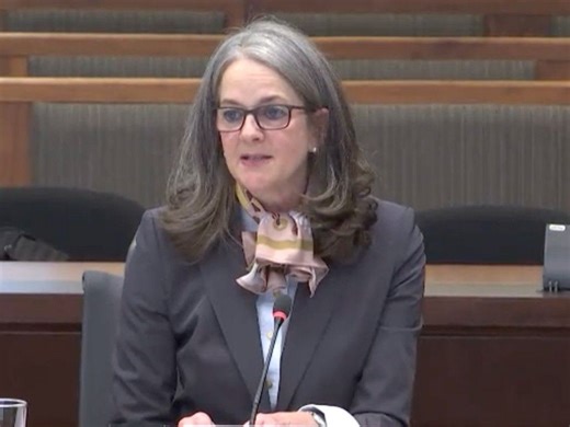 Mulcair: The trouble with Canada's new language-rights watchdog