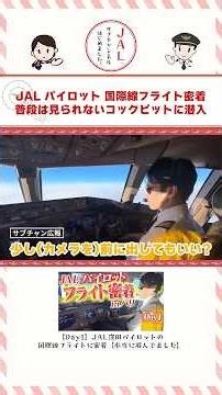 A Closer Look at a JAL Pilot's International Flight