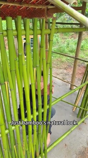 No Nails, No Screws? Watch This Bamboo Pavilion Lock Together!