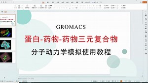 三元复合物分子动力学模拟教程