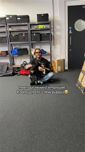 Already employee of the month #petewicks #samthompson #stayingrelevant #dogs #dogsotiktok