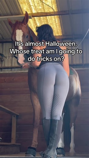 Thedisrose (@thedisrose)’s videos with She's Country - Jason Aldean