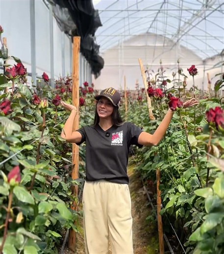 La flor pintada: Innovación en Finca El Hato, Venezuela