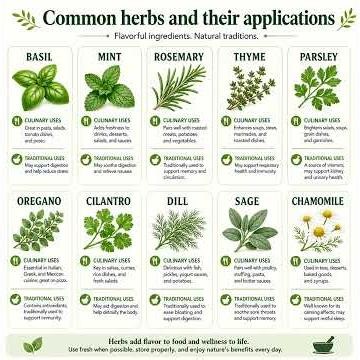 Common Herbs and Their Applications (2 Minutes)
