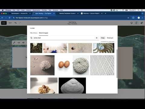 Squarespace Web Design Course - Lesson 6 - Styling Sections Part 2