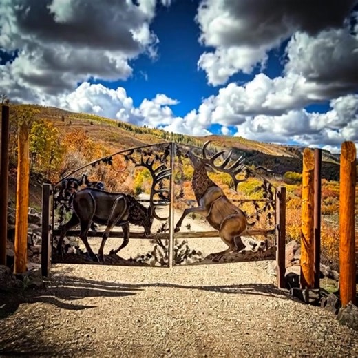 Deb Pearse Mitchell on Reels