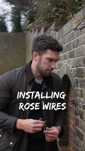 Henry Agg on Instagram: "Your guide to installing wires / supports for climbers 💚 You can use the same approach for fixing to timber also. Product's used: . 2.5mm galvanised wire Zinc plated 6mm turnbuckles Rawlbolt eye shield anchors M6 73mm . Drop me a comment below if you have any questions ⏬️ . #learnwithinstagram #gardentips #climbingroses #climbingsupports #gardening #garden #gardenersworld #learntogarden #rosewires #lovetogarden #learnwithinsta #gardenvideo #inmygarden"