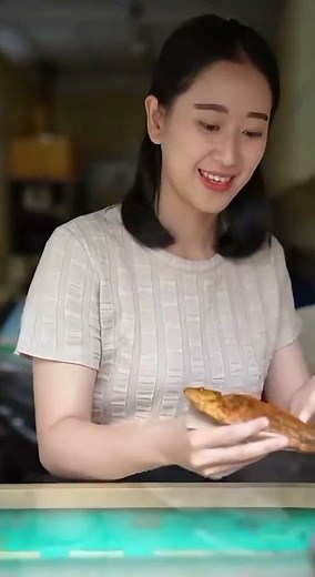 selembar daun alat penukar ikan#vidioshort#cat#kucinglucu