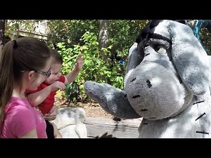 Baby Tyler Meets Eeyore "YO" for the First Time at Disneyland!