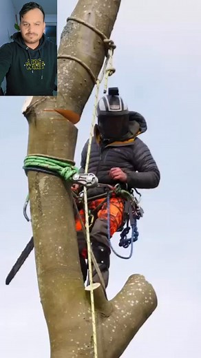 Negative rigging with Ben Connon and Charterhouse Tree Care #rigging #treework #arborist #arbortec | Khan Sab