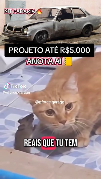 Projeto até R$5mil 🔥 👌 #gforcegarage #turbo #chevette