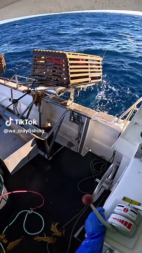 Exploring the World of Crayfish and Lobster Fishing