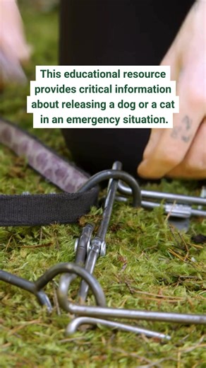 16 reactions · 4 comments | Have you seen our trap release video? We...