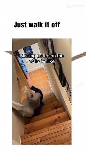 lol#memes#fyp#ironfork