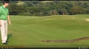 Giant snake slithers across golf course and into your nightmares