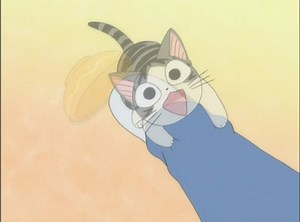 Chi's Sweet Home - Chi's New Address Season 1 | E2 - Chi, Taken Away.