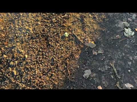 “How to Deal with Lens Flare (Quick Landscape Tip)”