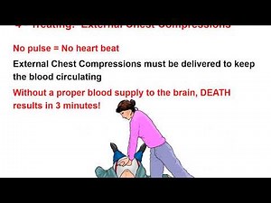 Basic first aid procedures everyone should know