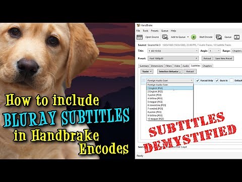 How to include Bluray Subtitles in Handbrake Encodes on Windows