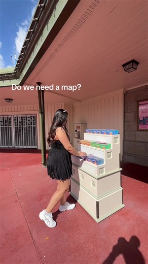 Navigating Disney World: Do You Need a Map?