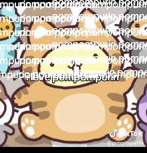 Pompompurin Lover | Cute Sanrio Character Fan Video 🍮