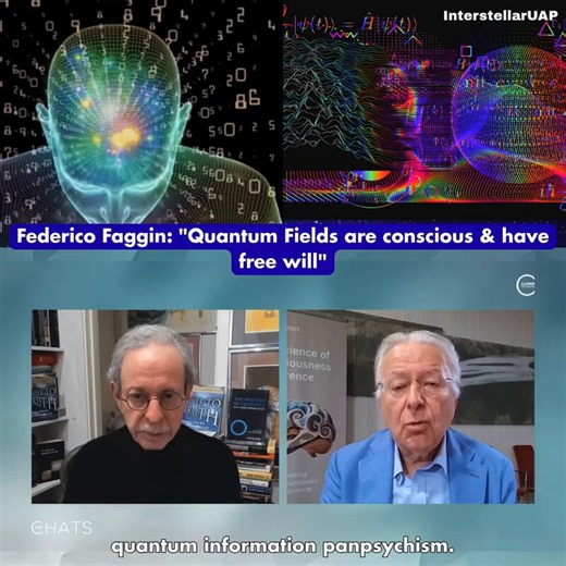 Federico Faggin: "Quantum Fields are conscious & have free will""You cannot create something that can know itself by something that doesn't even know what knowing means."The inventor of the first commercial microprocessor argues that consciousness cannot emerge from non-conscious matter. No mechanism can explain how awareness arises from something without any knowing.Instead, Faggin proposes quantum information-based panpsychism: quantum fields themselves are conscious and possess free will. The