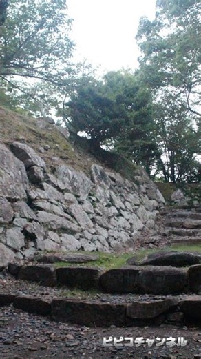 Which castle is this? Part 96