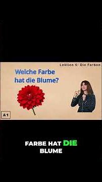 German learning A1: The colors_Part_6 #german #germancourse #learning #german #germanpronunciation