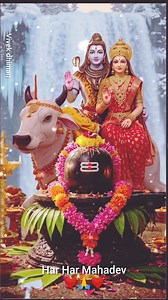 894K views · 108K reactions | The history of the camera spans several...