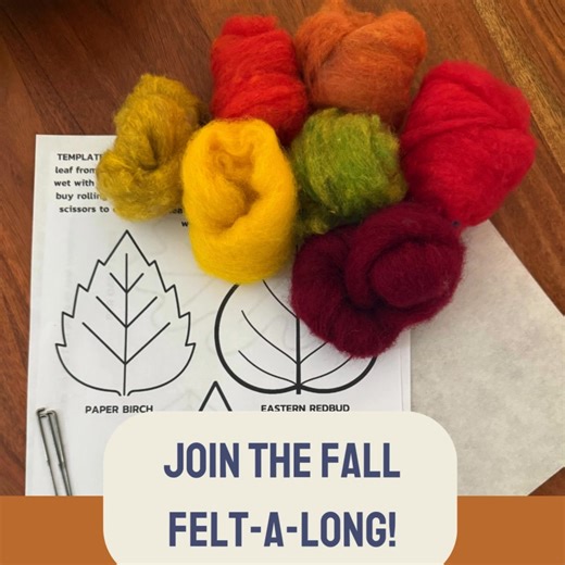 950 reactions · 134 shares | Needle Felting Looks Hard. It’s Not!...