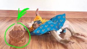 Queen Judee So Stunned & Amused With BuII Frog | The Judy Family