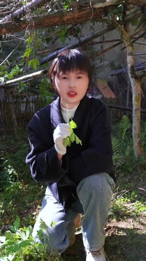 Master the Art: Spot Real Artemisia vs. Fake in 60 Seconds