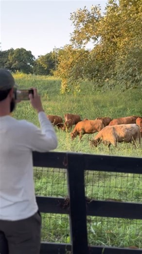 Early Summer Farm Tours are open for booking! Join us for a guided walk through the farm to connect with the land, meet our animals & discover their purposes here, and learn how we grow vibrant, nutrient-dense food using regenerative farming practices that support biodiversity and build healthy soil 🥑⁠ Regenerative Farm Tours 🗓 Saturdays & Sundays in June & July 🕘 9:00 AM 1:00 PM 📍Apricot Lane Farms, 10700 Broadway Road, Moorpark, CA Comment “VISIT” and we’ll send you the link to book. #apri