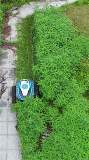 grass cutting car