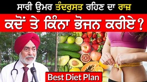 378K views · 8.6K reactions | Best Diet Plan । ਭੋਜਨ ਖਾਣ ਦਾ ਸਹੀ ਤਰੀਕਾ...